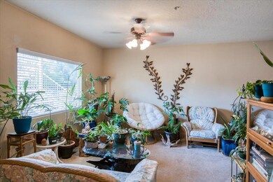 05-3776 Bella Sol Dr - www.lystpros.com