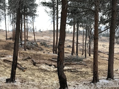 3434 Davis Ranch Rd, Bellvue, CO 80512 - photo 4