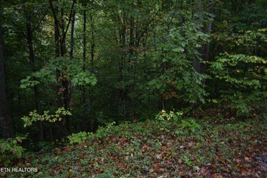 DSC_1806