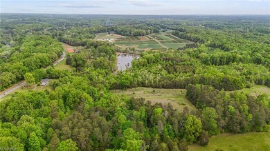 4100 High Rock Rd, Gibsonville, NC 27249 - photo 7