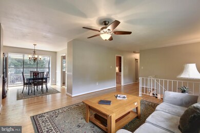 5308 Manorfield Rd, Rockville, MD 20853 - photo 5