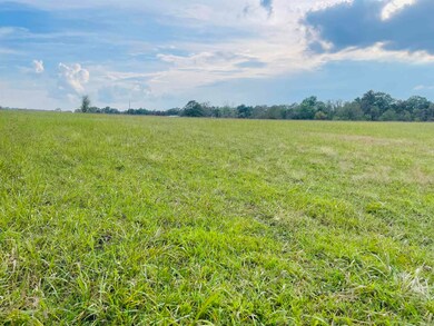 0 Shady Grove Rd unit 25037910, Leslie, AR 72645 - photo 4