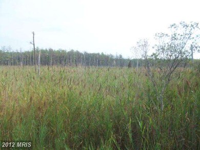 2213 Andrews Rd, Crapo, MD 21626 - photo 5