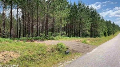 31810 Happy Hollow Rd, Robertsdale, AL 36567 - photo 5