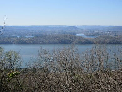 0 Scenic Dr unit 19785816, Section, AL 35771 - photo 4