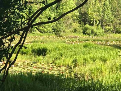 5994 Colonel Scott Dr, Tallahassee, FL 32309 - photo 3