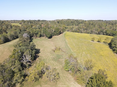 0 Buck Smith Rd unit RTC3047054, Palmyra, TN 37142 - photo 5