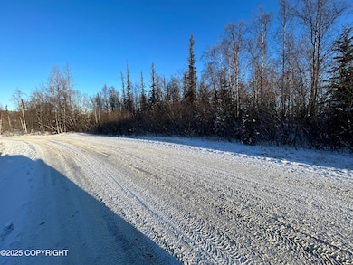 6493 S Viewport Way, Wasilla, AK 99654 - photo 6