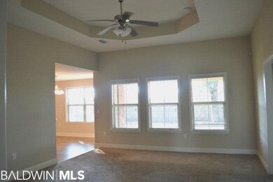 Lots of windows and natural light. Living Room has 10 ft./trey ceilings.