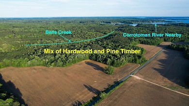 0 Buzzards Neck Rd unit LotWP001, Lancaster, VA 22503 - photo 6