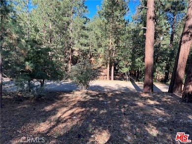 0 Kern Ave unit 25621451, Big Bear, CA 92386 - photo 6