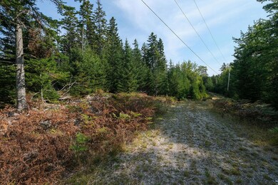 GeorgesWoodsland-10