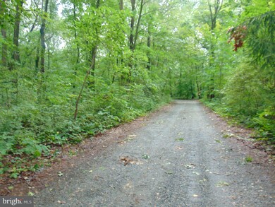 24 Woods Ln, Barto, PA 19504 - photo 3