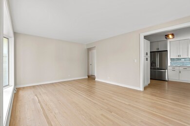 462 N Highland Ave, Elmhurst, IL 60126 - photo 4