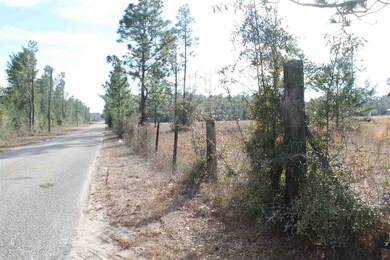 Corner of Nichols Creek/Muscogee Rd looking South