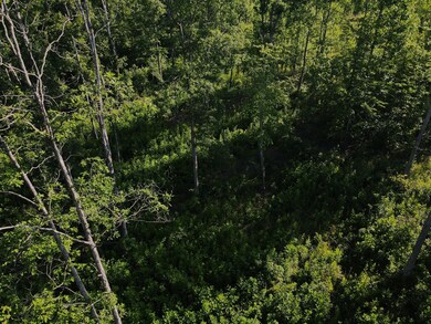 0 Old Highway 18 unit RTC2558184, Stewart, TN 37175 - photo 7