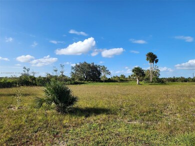 18717 NW 258 St, Okeechobee, FL 34972 - photo 6