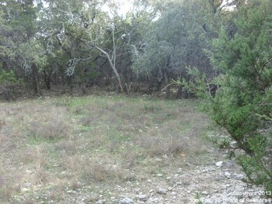 9030 Saddle Trail, San Antonio, TX 78255 - photo 7