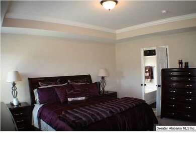 Master suite with Trey ceiling.