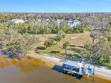 8331 Alafia Pointe Dr, Riverview, FL 33578 - photo 5