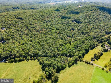 9623 Ada Rd, Marshall, VA 20115 - photo 6