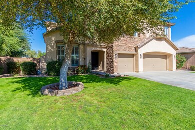 3066 E San Angelo Ave, Gilbert, AZ 85234 - photo 3