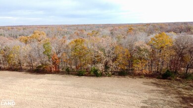 0000 Polston Ln, Hickory Grove Township, MO 63357 - photo 2