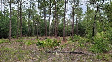20775 SW 93rd Lane Rd, Dunnellon, FL 34431 - photo 2