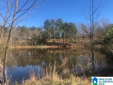 #0 Shady Point Rd, Locust Fork, AL 35097 - photo 2