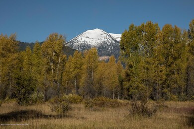 4 BE Fall Morning Glory Bowl + Trees