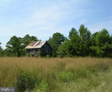 0 Andrews Rd unit 1001675975, Crapo, MD 21626 - photo 4