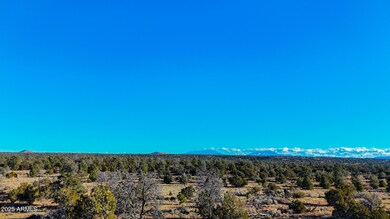 dji_fly_20250117_160158_0037_17372201523