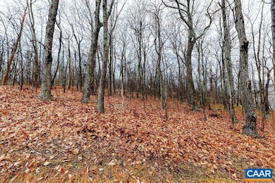 23 Rock Tree Ln, Roseland, VA 22967 - photo 4