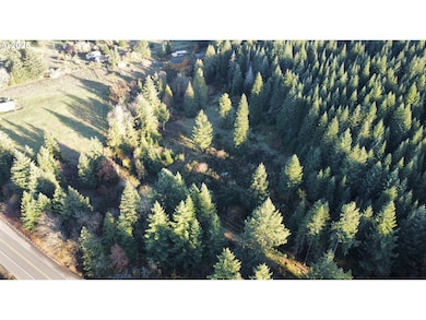 0 Hard Cash Ln, Camasvalley, OR 97416 - photo 7