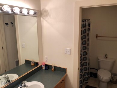 353 Firelight Dr, Big Sky, MT 59716 - photo 6