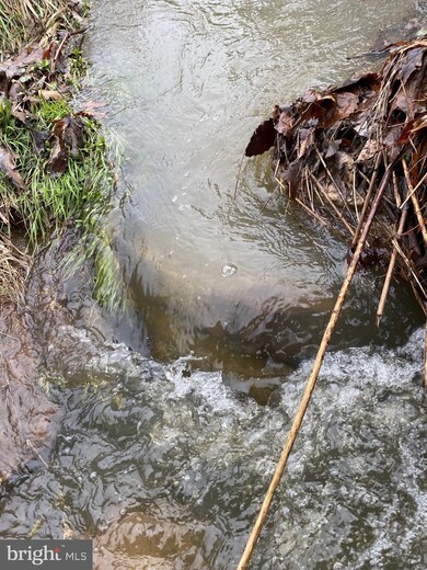 66 Main St, Maysville, WV 26833 - photo 5