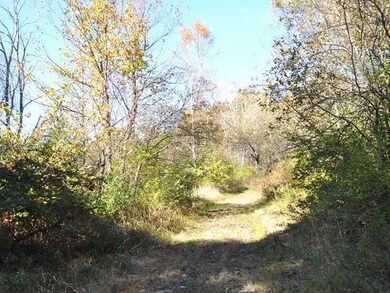 Other. Woods Road