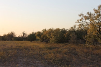 818 195 Cr-163, Winters, TX 78634 - photo 6