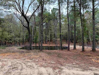 TBD Tbd Cr 233, Arp, TX 75750 - photo 6