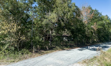 Ext Feather Ln Low b