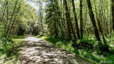 99994 Dowan Creek Rd, Forks, WA 98331 - photo 4