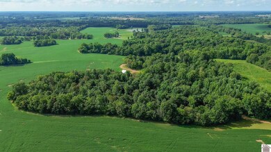 2500 Biggs Rd, Kevil, KY 42053 - photo 4