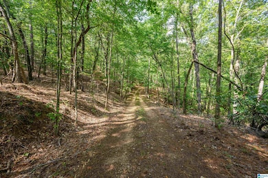 00 Deer Run Rd, Alabaster, AL 35007 - photo 4