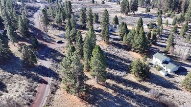 Agency Lake Corner Lot 2