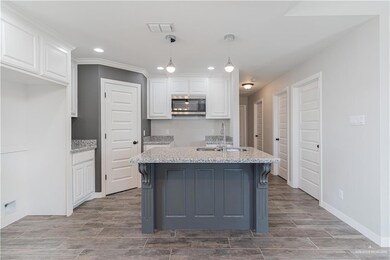 210 E Irvine Ave, Alamo, TX 78516 - photo 4