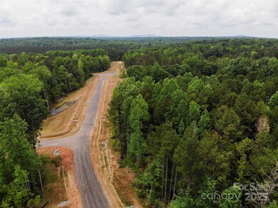 Lot 33 Great Blue Path, Clover, SC 29710 - photo 5