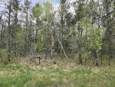10 Acres 25th St, Necedah, WI 54646 - photo 7
