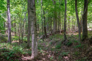 0 Longtown Rd unit 21128598, Ridgeway, SC 29130 - photo 7