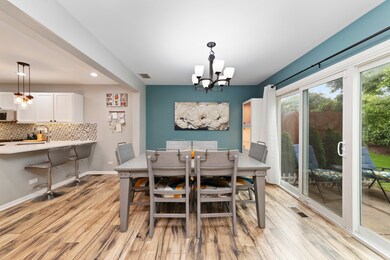 3848 Relstar Ct unit 1, Naperville, IL 60564 - photo 7