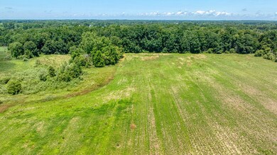 27-web-or-mls-DJI_0032_HDR
